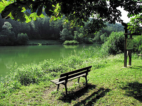 Les Lupins Alsazia - Seppois-le-Bas visuel 7/10 Les Lupins Alsazia - Seppois-le-Bas visuel 7/10