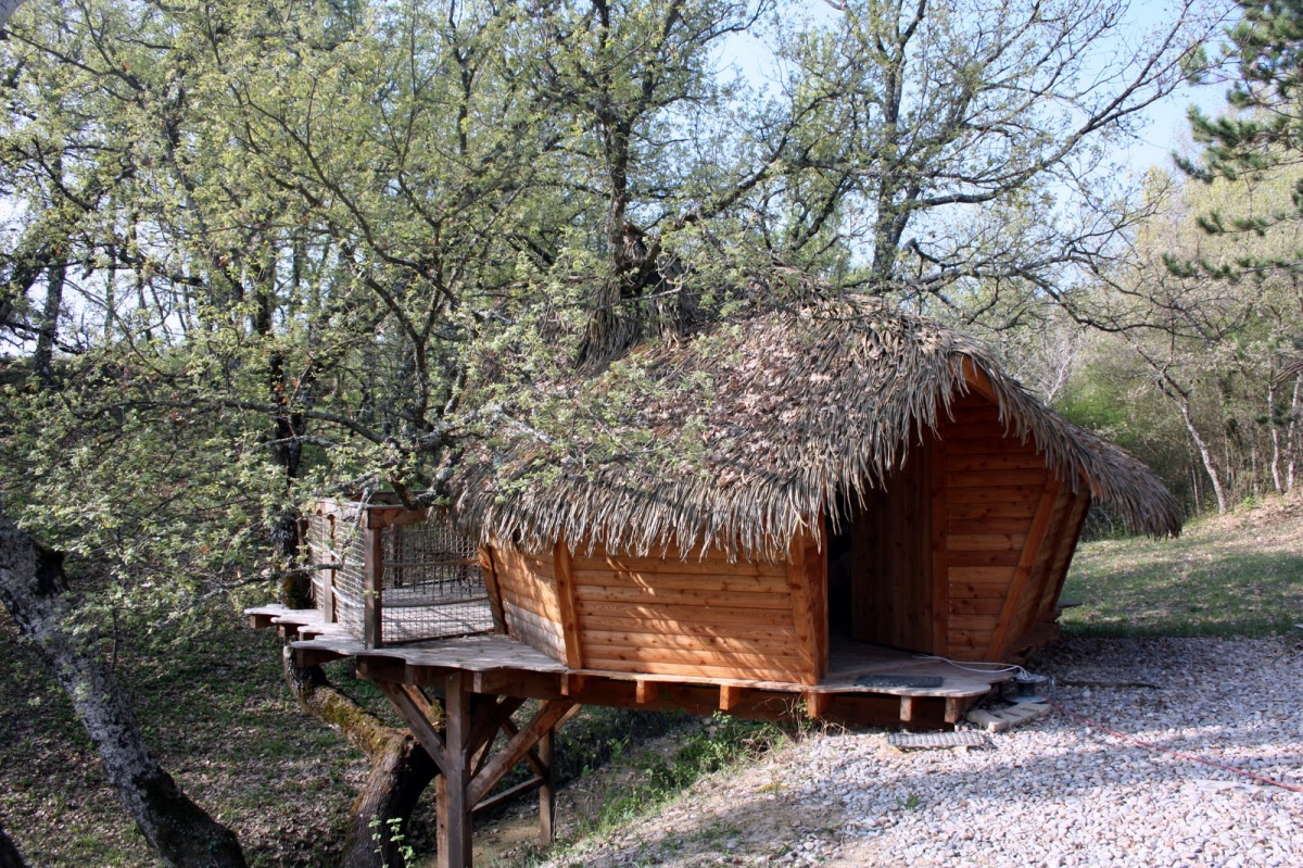 Les Maisons de Chante Oiseau Provenza-Alpi-Costa Azzurra - Sigonce visuel 7/9