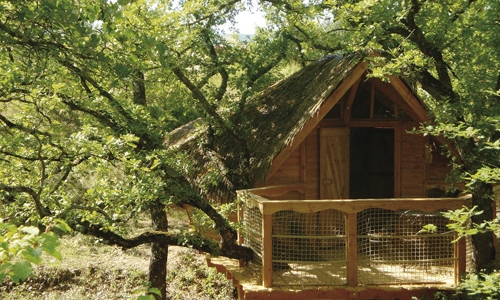 Les Maisons de Chante Oiseau Provenza-Alpi-Costa Azzurra - Sigonce visuel 9/9