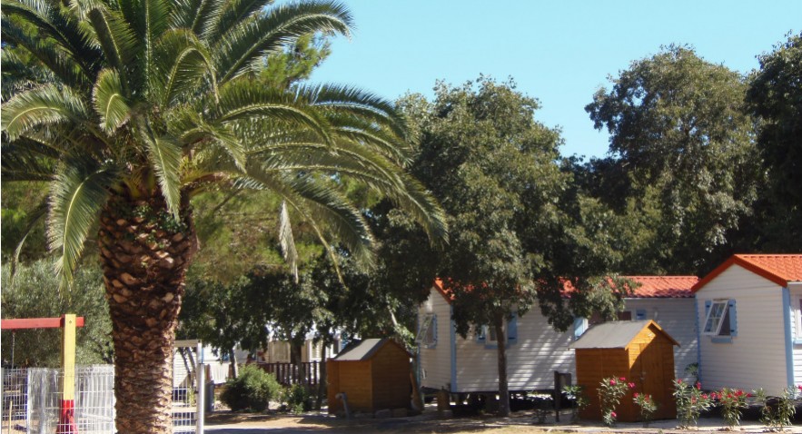 Les Micocouliers Linguadoca-Rossiglione - Sorède visuel 2/3 Les Micocouliers Linguadoca-Rossiglione - Sorède visuel 2/3