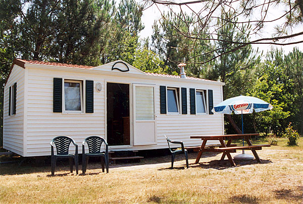 Les Mimosas Aquitania - Carcans visuel 3/3 Les Mimosas Aquitania - Carcans visuel 3/3