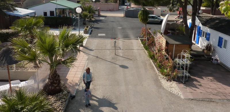 Les Mimosas Linguadoca-Rossiglione - Agde visuel 2/2