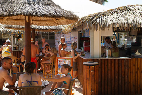 Les Mimosas Linguadoca-Rossiglione - Portiragnes visuel 5/10