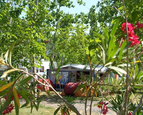 Les Mimosas Linguadoca-Rossiglione - Portiragnes visuel 6/10