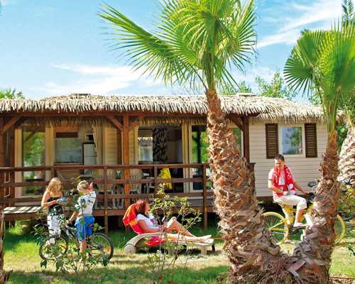 Les Mimosas Linguadoca-Rossiglione - Portiragnes visuel 7/10