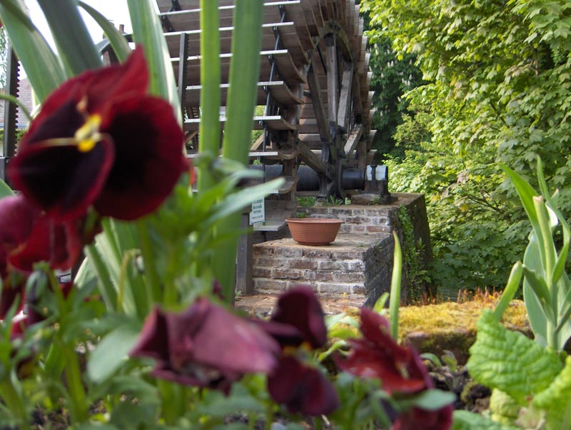 Les Mouettes Alta Normandia - Veules-les-Roses visuel 6/11