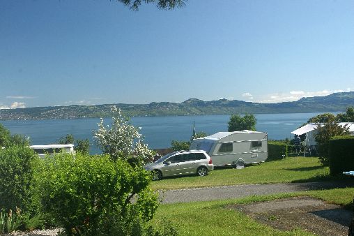 Les Myosotis Rodano-Alpi - Lugrin visuel 1/1 Les Myosotis Rodano-Alpi - Lugrin visuel 1/1