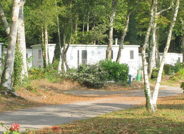 Les Myrtilles Bretagna - Saint-Yvi visuel 7/7