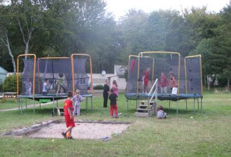 Les Myrtilles Bretagna - Saint-Yvi visuel 5/7