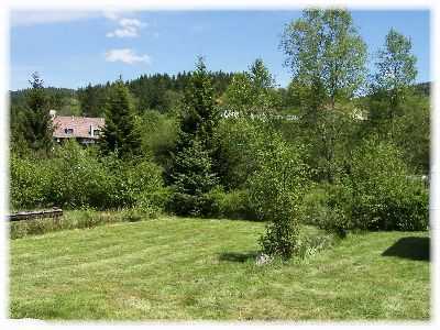 Les Myrtilles Lorena - Gérardmer visuel 4/10