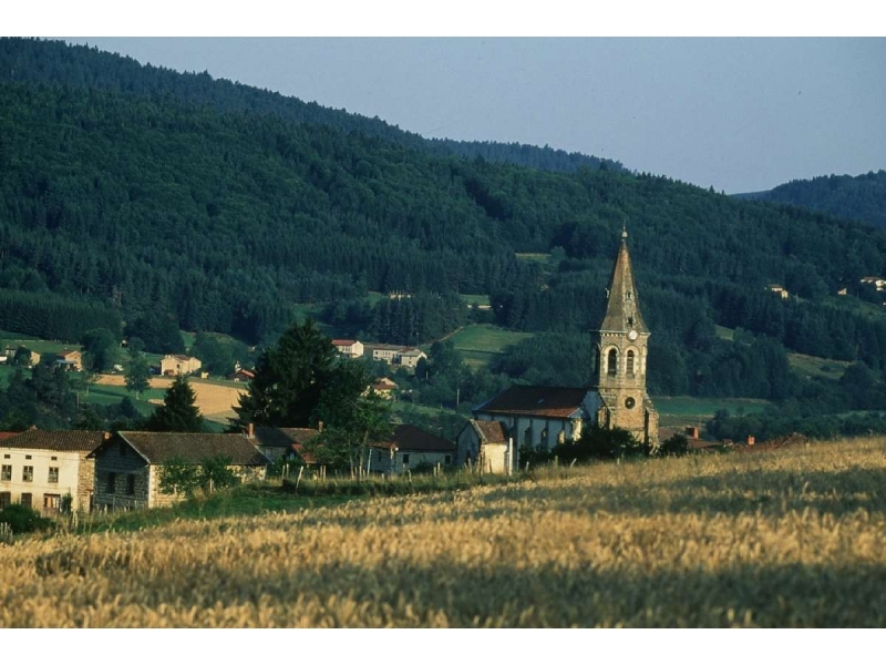 Les Narcisses Alvernia - Saint-Clément-de-Valorgue visuel 2/5