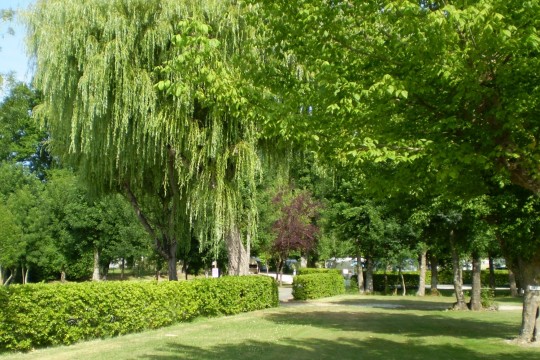 Les Peupliers Aquitania - Vendays-Montalivet visuel 2/10