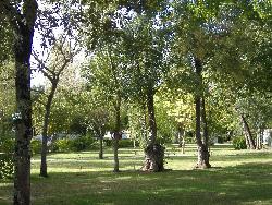 Les Peupliers Aquitania - Vendays-Montalivet visuel 9/10