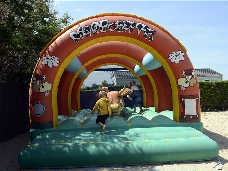 Les Peupliers Bassa Normandia - Merville Franceville Plage visuel 8/9