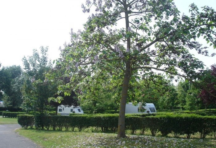 Les Peupliers Centro-Valle della Loira - Montlouis-sur-Loire visuel 10/11 Les Peupliers Centro-Valle della Loira - Montlouis-sur-Loire visuel 10/11