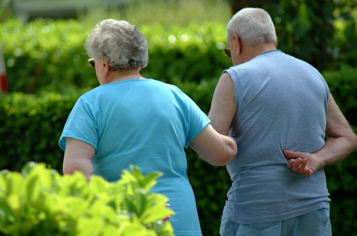 Canoë Gorges du Tarn Midi-Pirenei - Rivière-sur-Tarn visuel 7/11 Canoë Gorges du Tarn Midi-Pirenei - Rivière-sur-Tarn visuel 7/11