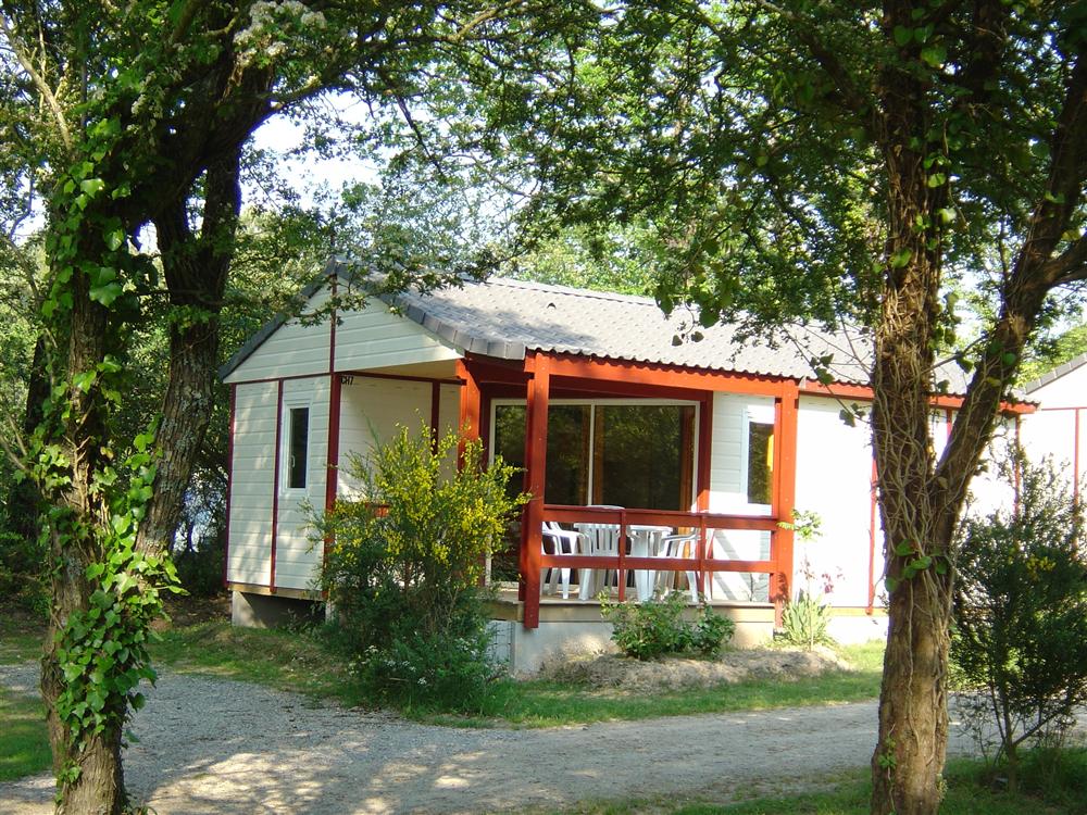 Les Pins Bretagna - Carnac visuel 4/5 Les Pins Bretagna - Carnac visuel 4/5