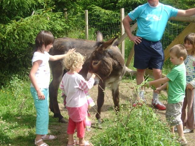 Les Pins Bretagna - Carnac visuel 5/5 Les Pins Bretagna - Carnac visuel 5/5