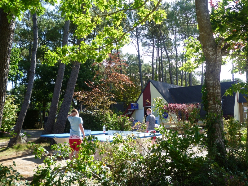 Les Pins Bretagna - Crozon visuel 5/8 Les Pins Bretagna - Crozon visuel 5/8