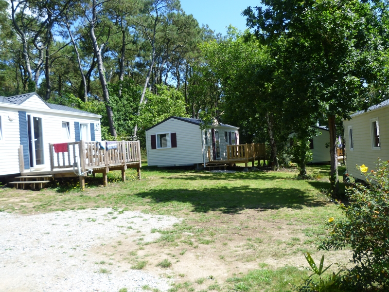 Les Pins Bretagna - Crozon visuel 8/8 Les Pins Bretagna - Crozon visuel 8/8