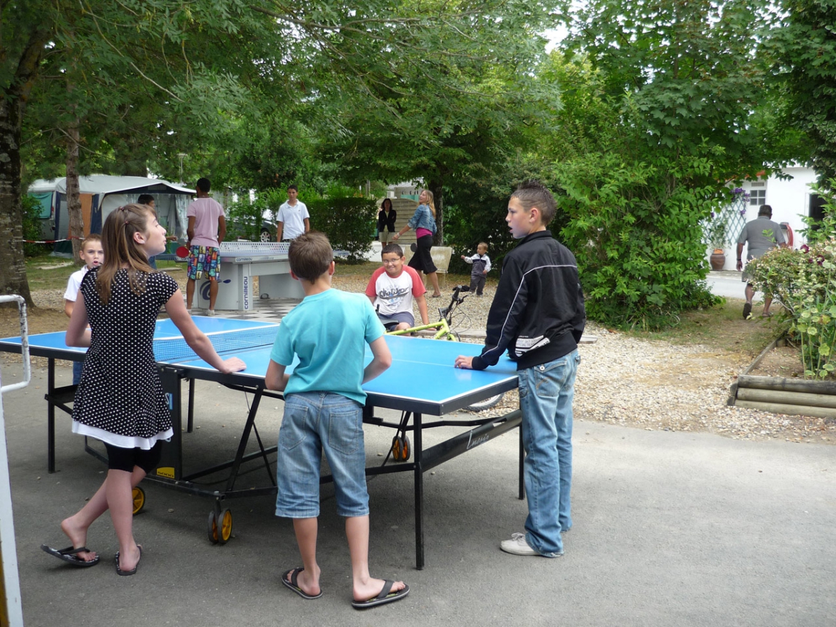 Les Pins Poitou-Charentes - Saint-Palais-sur-Mer visuel 9/11