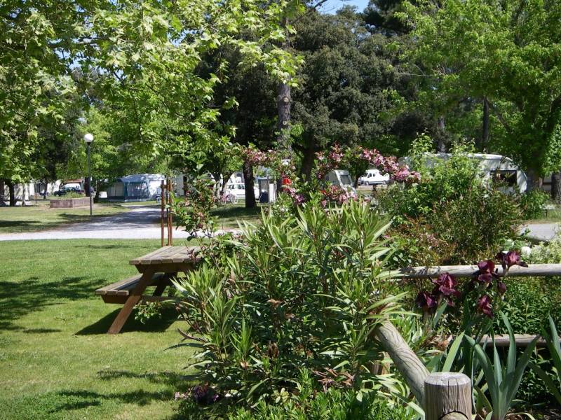 Les Pins Bleus Aquitania - Labenne visuel 1/1