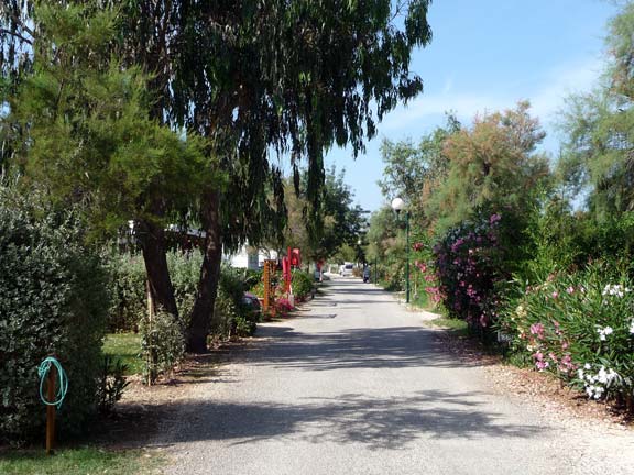 Les Pins Maritimes Provenza-Alpi-Costa Azzurra - Hyères visuel 2/10 Les Pins Maritimes Provenza-Alpi-Costa Azzurra - Hyères visuel 2/10