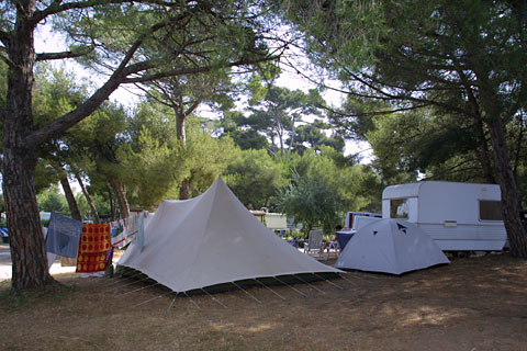 Les Pins Maritimes Provenza-Alpi-Costa Azzurra - Hyères visuel 6/10 Les Pins Maritimes Provenza-Alpi-Costa Azzurra - Hyères visuel 6/10