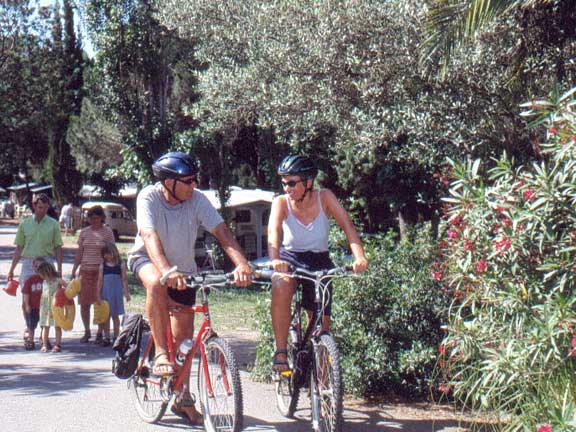 Les Pins Parasols Provenza-Alpi-Costa Azzurra - Fréjus visuel 8/10