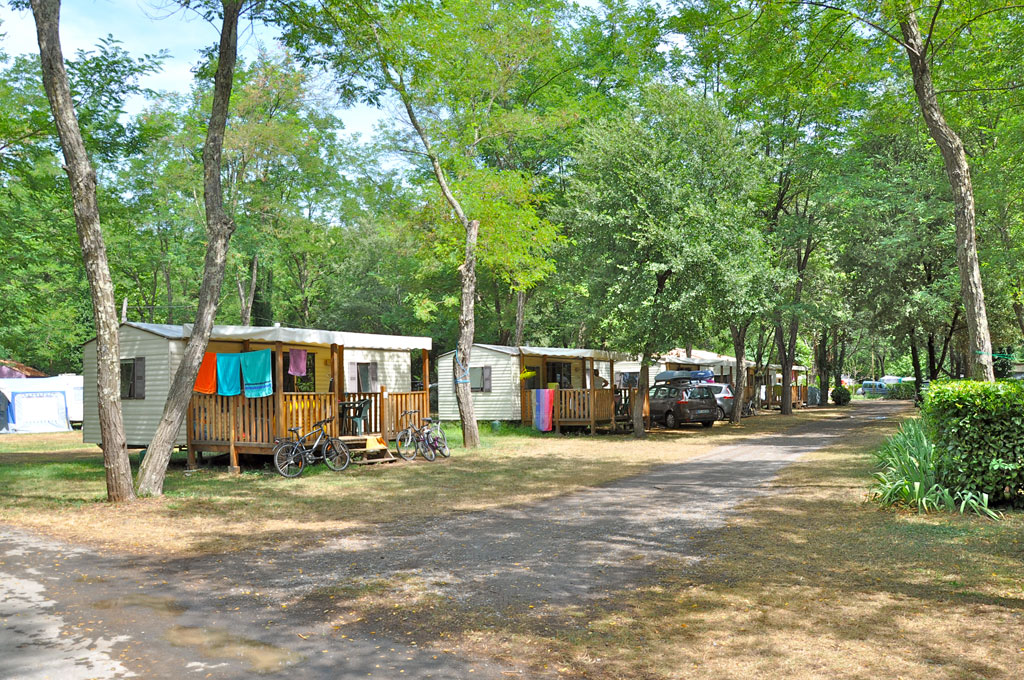 Les Plans Linguadoca-Rossiglione - Mialet visuel 8/13