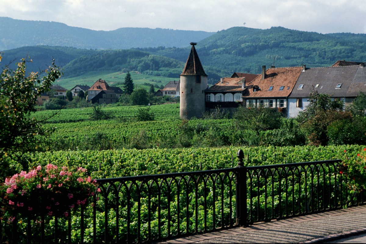 Les Portes d'Alsace Alsazia - Saverne visuel 9/9 Les Portes d'Alsace Alsazia - Saverne visuel 9/9