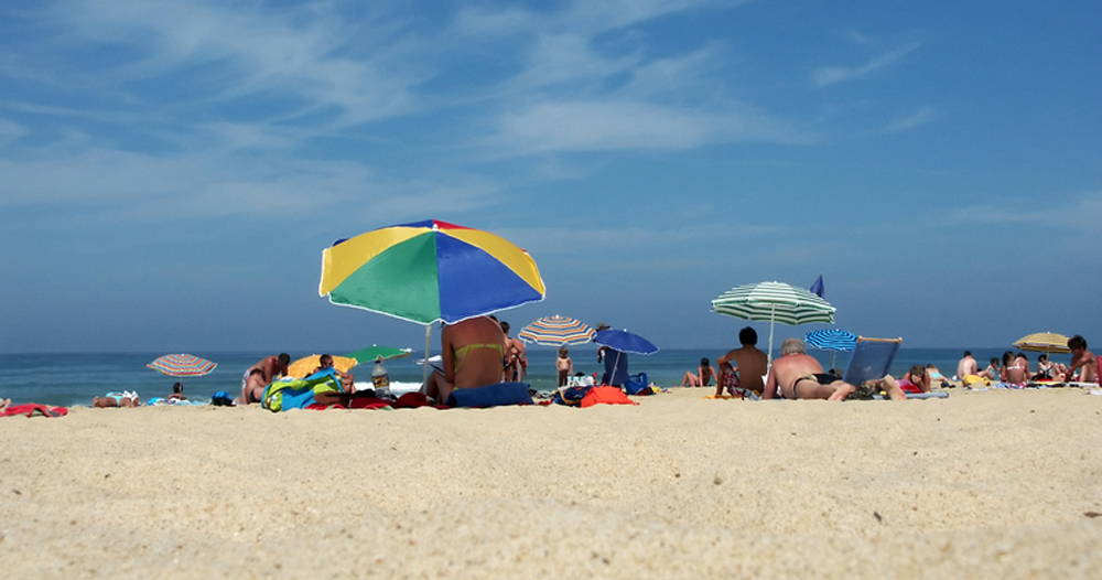 Les Prairies de L'Etang Paesi della Loira - Assérac visuel 2/9