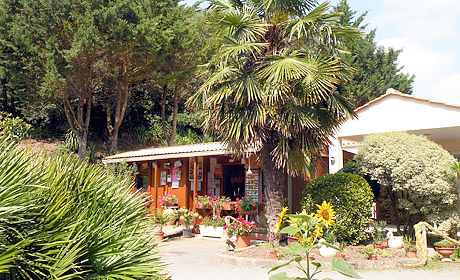 Les Ramiers Paesi della Loira - Longeville sur Mer visuel 1/1 Les Ramiers Paesi della Loira - Longeville sur Mer visuel 1/1