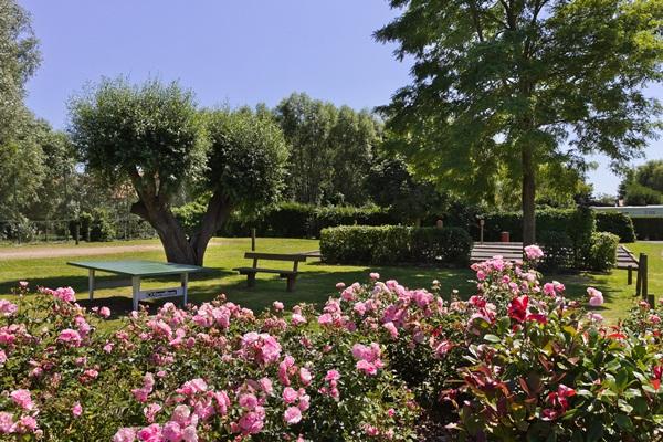 Les Résidences La Becque Nord-Passo di Calais - Warhem visuel 7/9 Les Résidences La Becque Nord-Passo di Calais - Warhem visuel 7/9