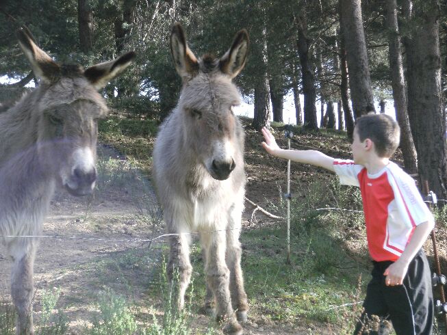 Les Rôches Rodano-Alpi - Le Crestet visuel 8/11