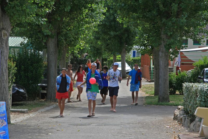 Les Roses Paesi della Loira - Les Sables-d'Olonne visuel 10/11