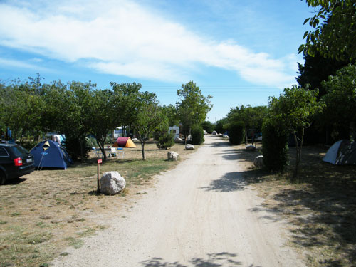 L'Arlésienne Provenza-Alpi-Costa Azzurra - Arles visuel 4/8