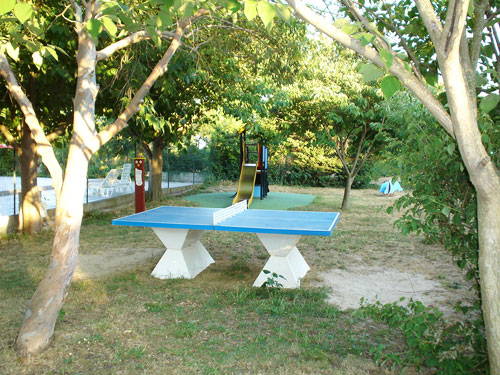 L'Arlésienne Provenza-Alpi-Costa Azzurra - Arles visuel 5/8