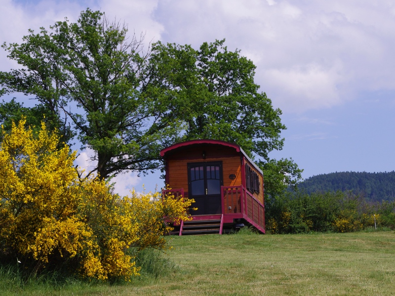 Les Roulottes du Livradois Alvernia - Cunlhat visuel 3/5