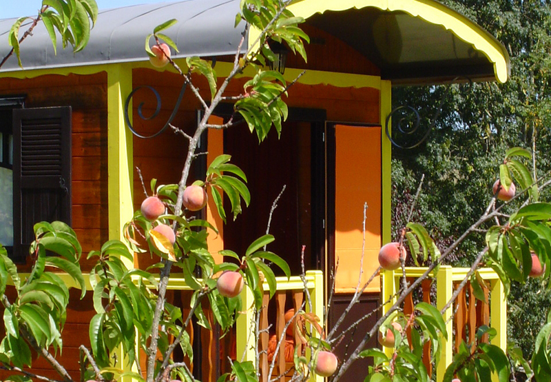 Les Roulottes du Sud Ouest Aquitania - Saint-Salvy visuel 1/2 Les Roulottes du Sud Ouest Aquitania - Saint-Salvy visuel 1/2