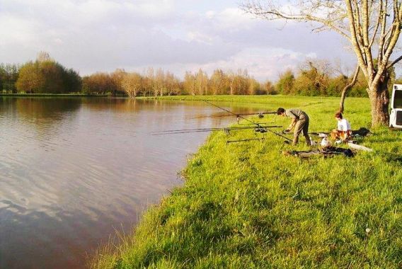 Les Rulières Paesi della Loira - Saint-Valérien visuel 4/5 Les Rulières Paesi della Loira - Saint-Valérien visuel 4/5