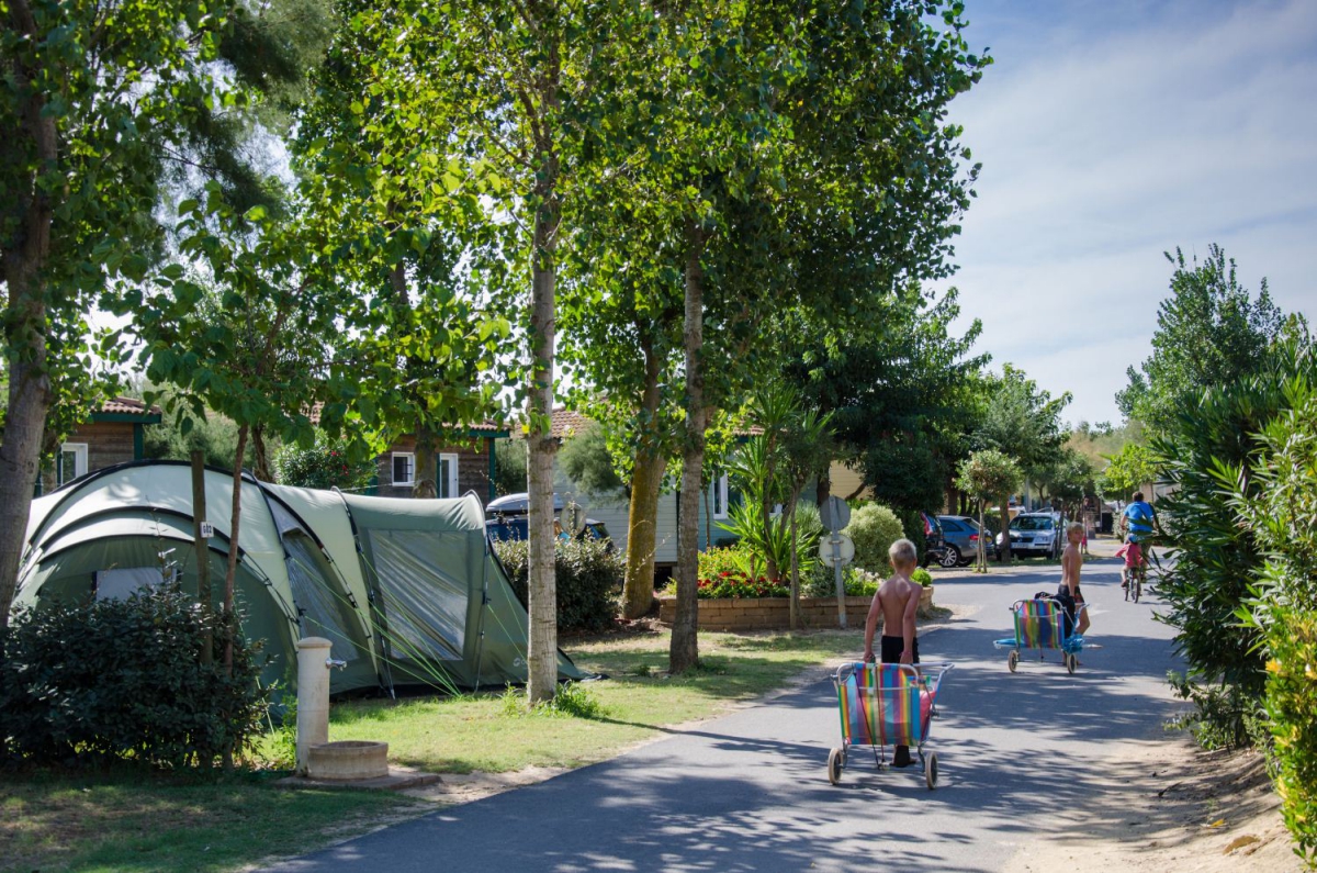 Les Sablons Linguadoca-Rossiglione - Portiragnes visuel 25/25