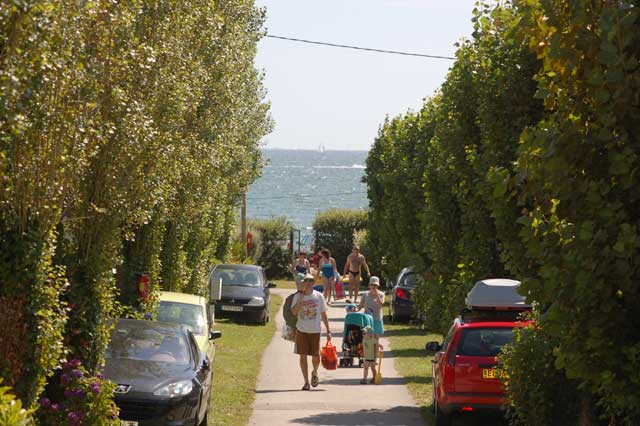 Les Saules Bretagna - La Forêt-Fouesnant visuel 6/10 Les Saules Bretagna - La Forêt-Fouesnant visuel 6/10