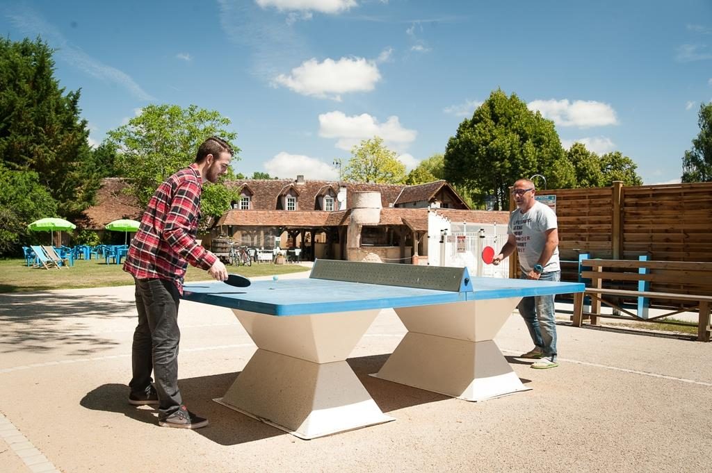 Les Saules Centro-Valle della Loira - Cheverny visuel 5/11 Les Saules Centro-Valle della Loira - Cheverny visuel 5/11