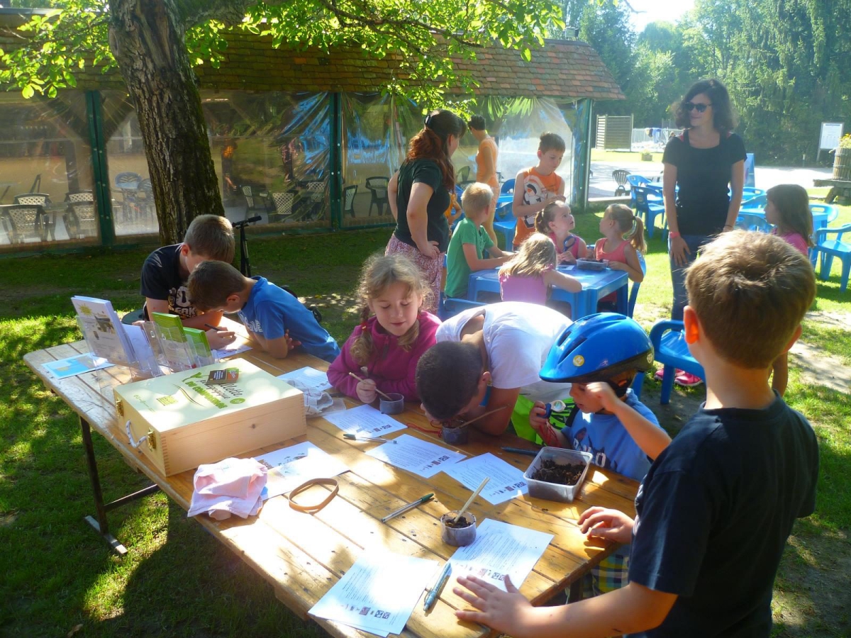 Les Saules Centro-Valle della Loira - Cheverny visuel 7/11 Les Saules Centro-Valle della Loira - Cheverny visuel 7/11