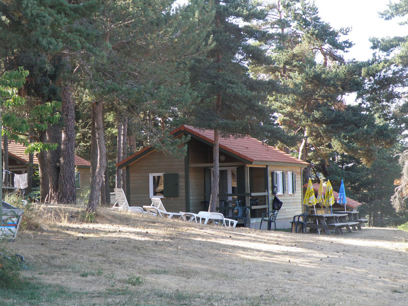 Les Sous Bois du Lac Linguadoca-Rossiglione - Langogne visuel 4/9 Les Sous Bois du Lac Linguadoca-Rossiglione - Langogne visuel 4/9