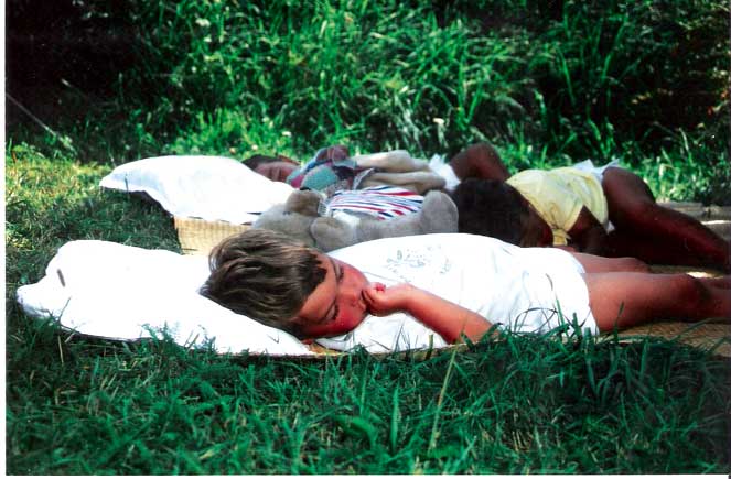 Les Terrasses du Lac Midi-Pirenei - Pont-de-Salars visuel 7/11