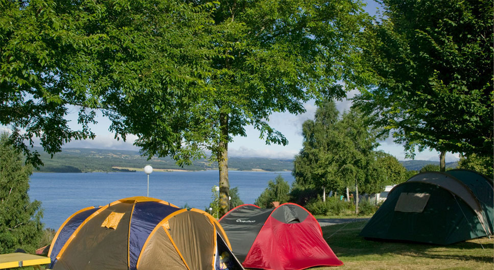 Les Terrasses du Lac Linguadoca-Rossiglione - Langogne visuel 7/9 Les Terrasses du Lac Linguadoca-Rossiglione - Langogne visuel 7/9