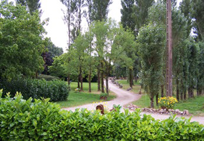 Les Tournesols Paesi della Loira - Le Grez visuel 5/5 Les Tournesols Paesi della Loira - Le Grez visuel 5/5
