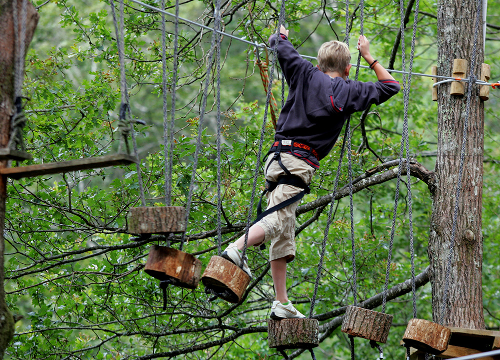 Domaine des Tours Midi-Pirenei - Saint-Amans-des-Cots visuel 16/16 Domaine des Tours Midi-Pirenei - Saint-Amans-des-Cots visuel 16/16